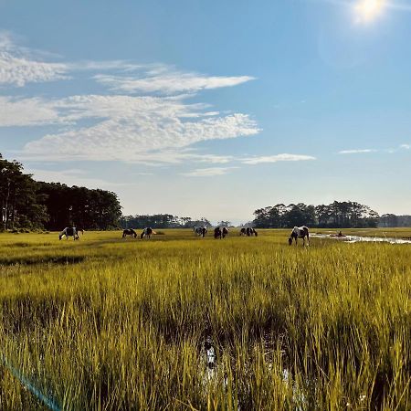 Comfort Suites Chincoteague Island Bayfront Resort Exterior foto