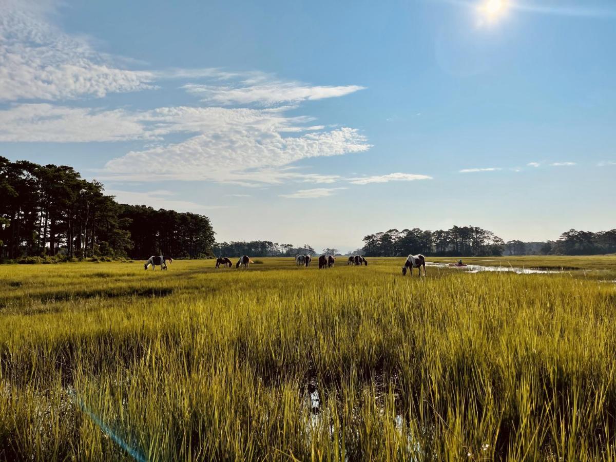 Comfort Suites Chincoteague Island Bayfront Resort Exterior foto